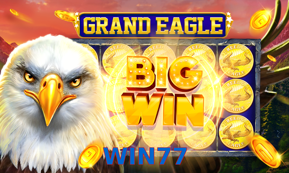 WIN77